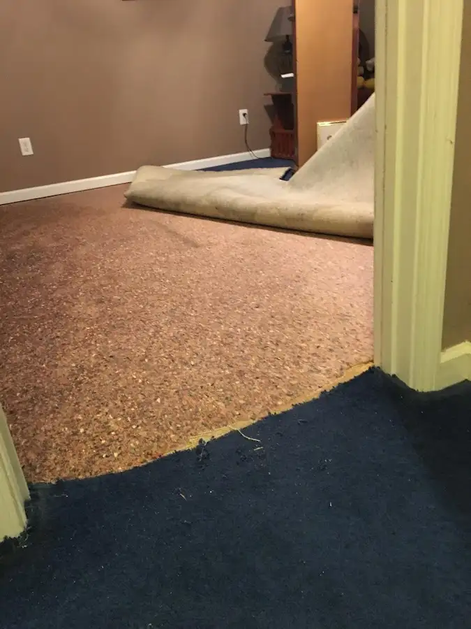 Carpet pad removal revealing water damage during Water Mitigation Services in Maplewood