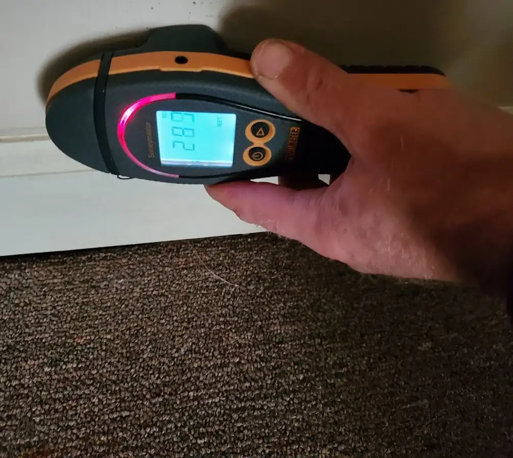 Moisture detection at baseboard during Sewage Cleanup & Sanitation in Maplewood